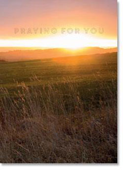 Picture of Praying for you.