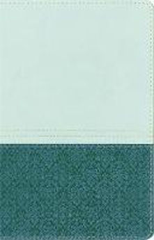 Picture of NIV Study Bible Sea Glass/Caribbean Duo-