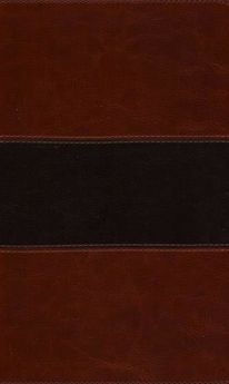 Picture of The KJV Study Bible two-tone brown