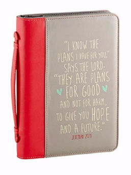 Picture of I know the plans. Grey Bible cover
