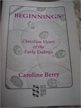 Picture of Beginnings: Christian Views of the Early