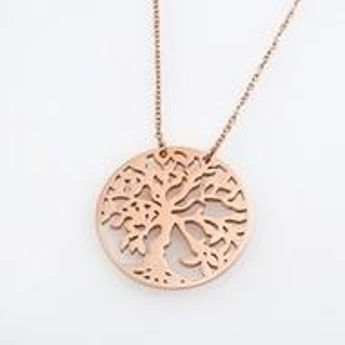 Picture of Rose Gold Plated Necklace Strength Heart Soul
